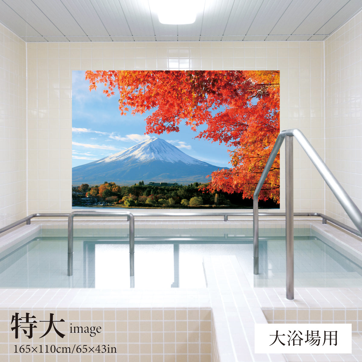 紅葉越しに見る富士山　【業務用サイズ】