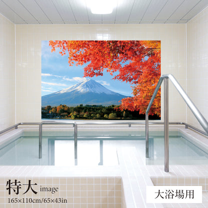紅葉越しに見る富士山　【業務用サイズ】