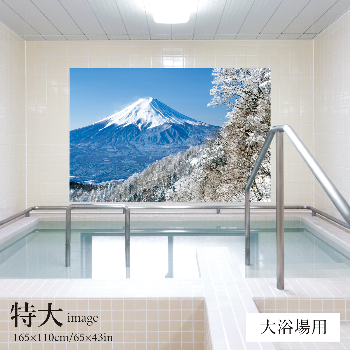 雪化粧した富士山　【業務用サイズ】
