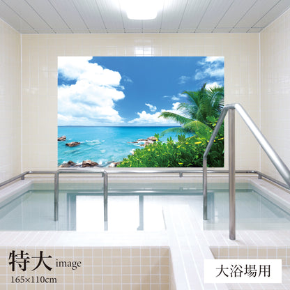 夏の磯　【業務用サイズ】
