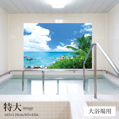 夏の磯　【業務用サイズ】