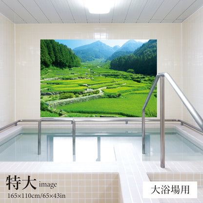 四谷の千枚田　【業務用サイズ】