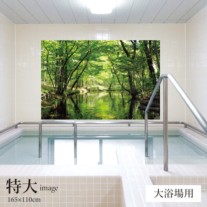 緑の小川　【業務用サイズ】