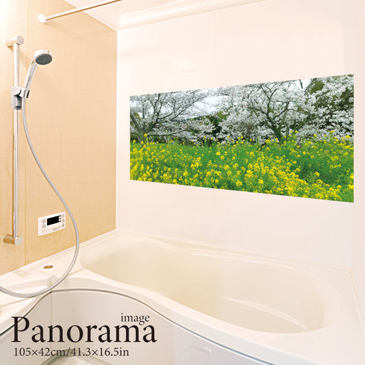 Inverted Fuji (panorama)