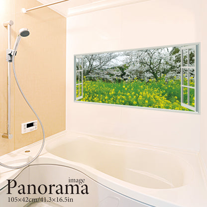 Inverted Fuji (panorama)