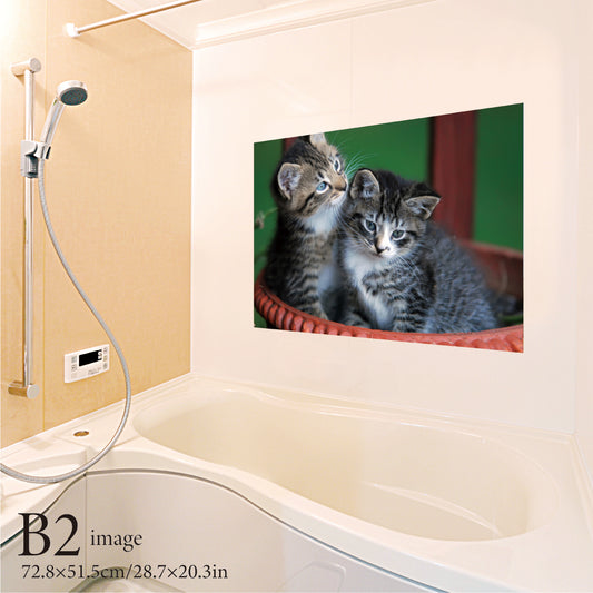 Original bath poster