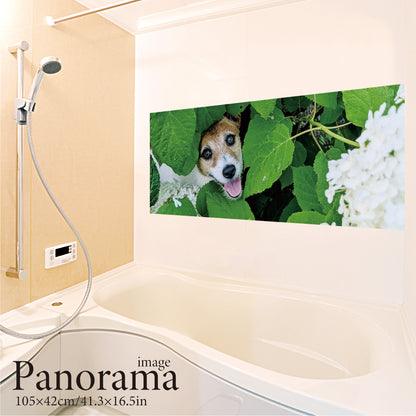 Original bath poster